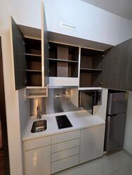 Silverscape (D14), Apartment #499753471